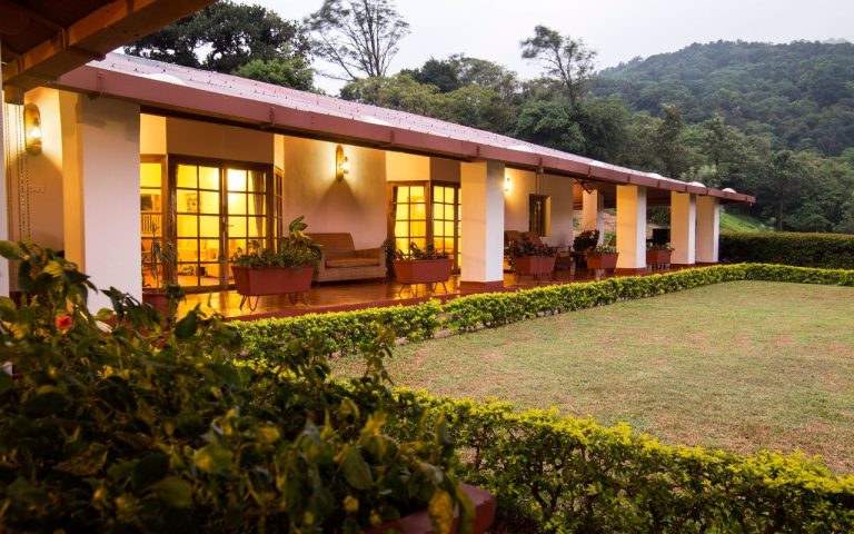 xr:d:DAFV1DgiuqI:8,j:977829660,t:22122604