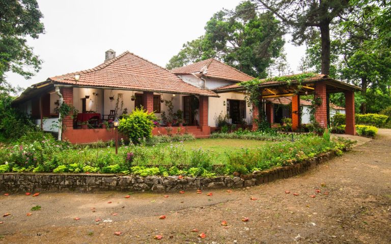 xr:d:DAFV1DgiuqI:8,j:977829660,t:22122604