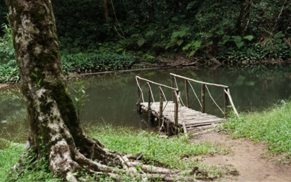 xr:d:DAFdVYAzvUw:4,j:919740061,t:23031605