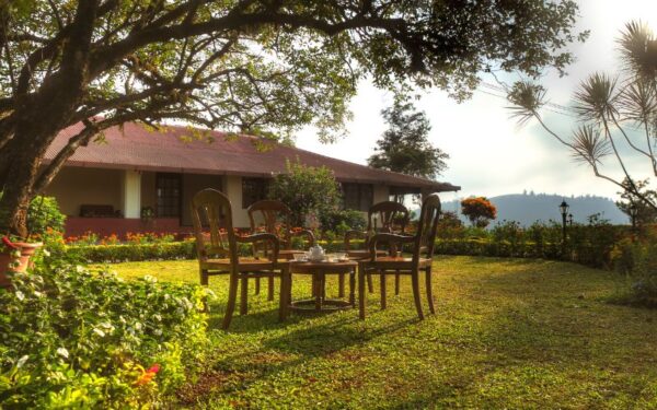 xr:d:DAFdVYAzvUw:4,j:919740061,t:23031605